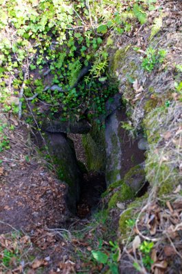 Comme l'impression de tomber au fond du trou_4584625654_l.jpg